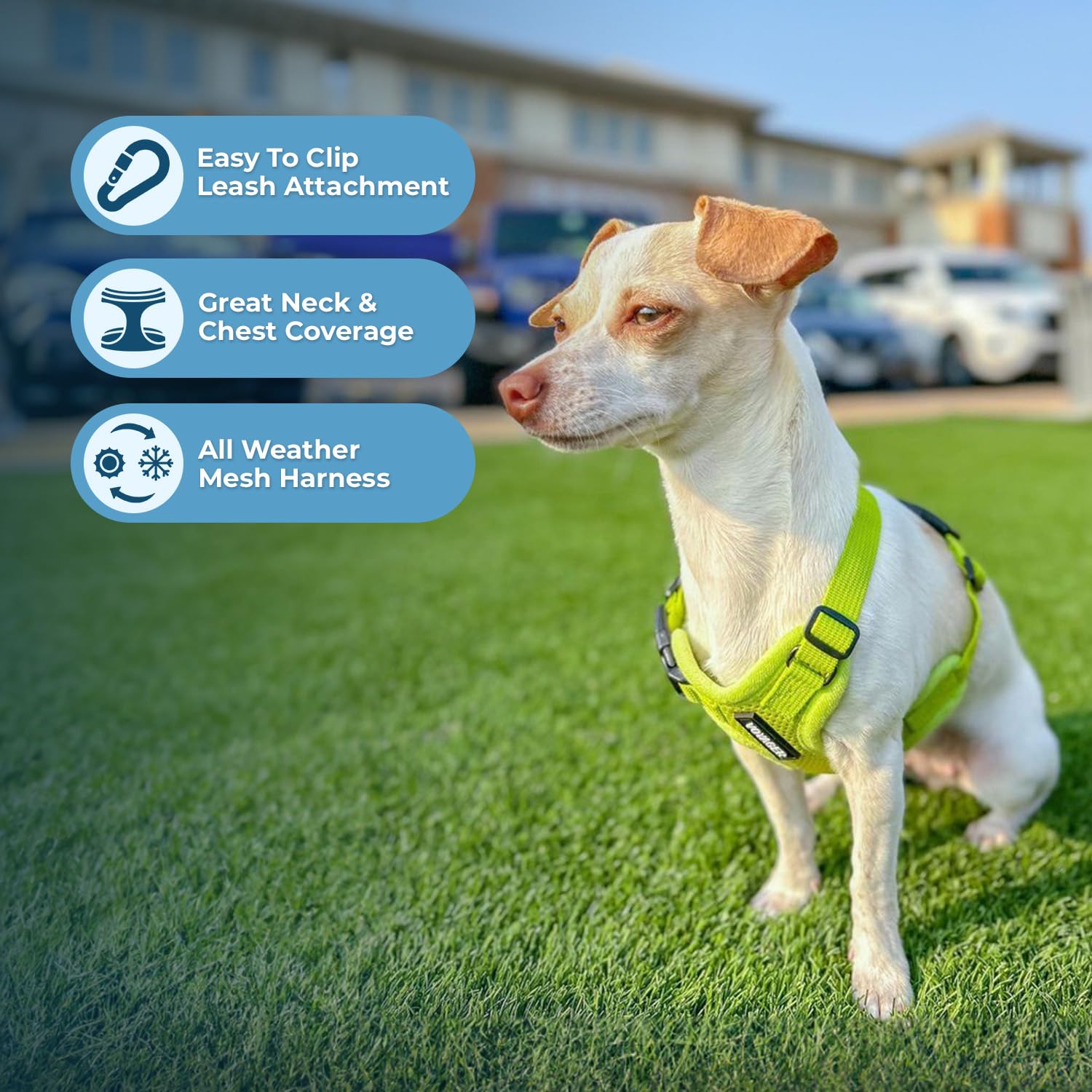 Best Pet Supplies Voyager Step-in Air Mesh Harness and 5ft Leash Set - XX-Small Lime Green for Puppies