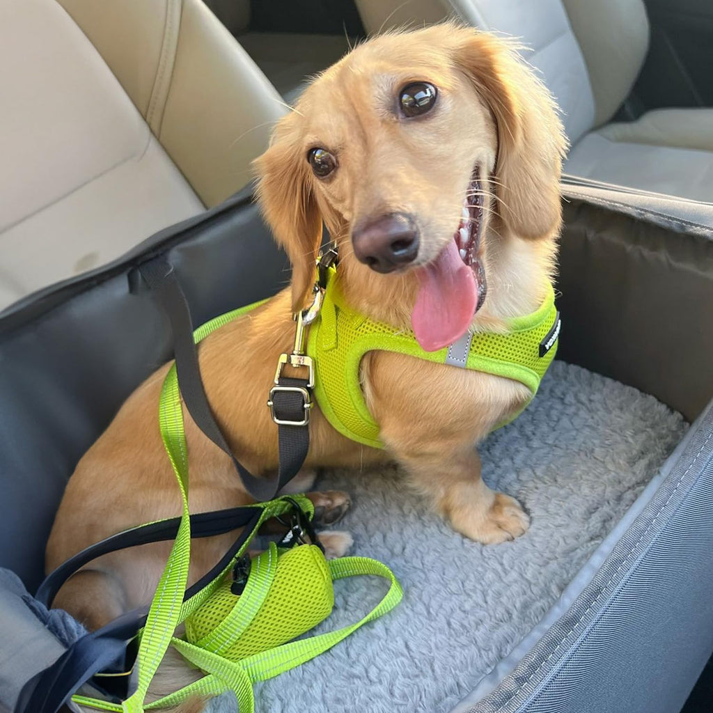 Best Pet Supplies Voyager Step-in Air Mesh Harness and 5ft Leash Set - XX-Small Lime Green for Puppies