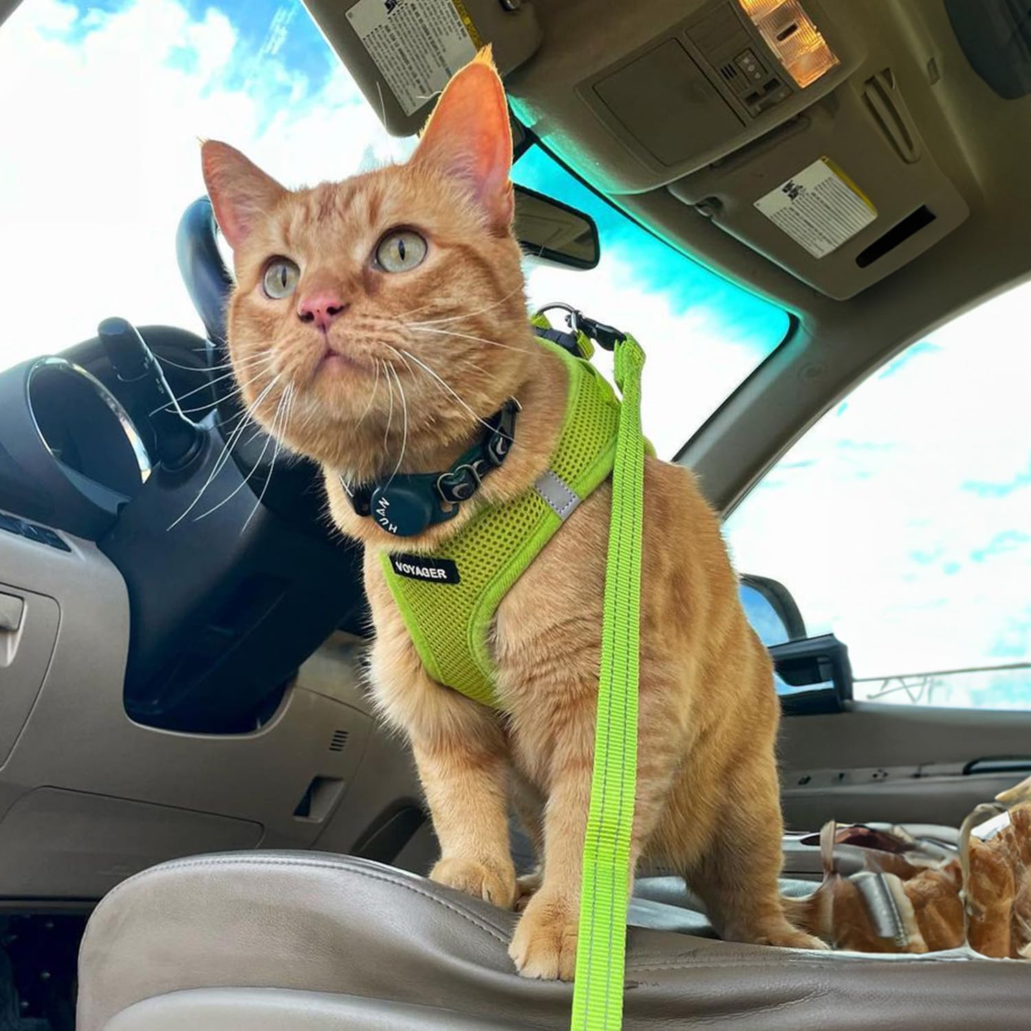 Best Pet Supplies Voyager Step-in Air Mesh Harness and 5ft Leash Set - XX-Small Lime Green for Puppies