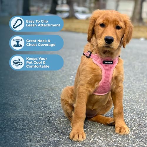 Best Pet Supplies Voyager Step-In Dog Harness - Breathable Mesh, No-Pull, Reflective, XS, Pink