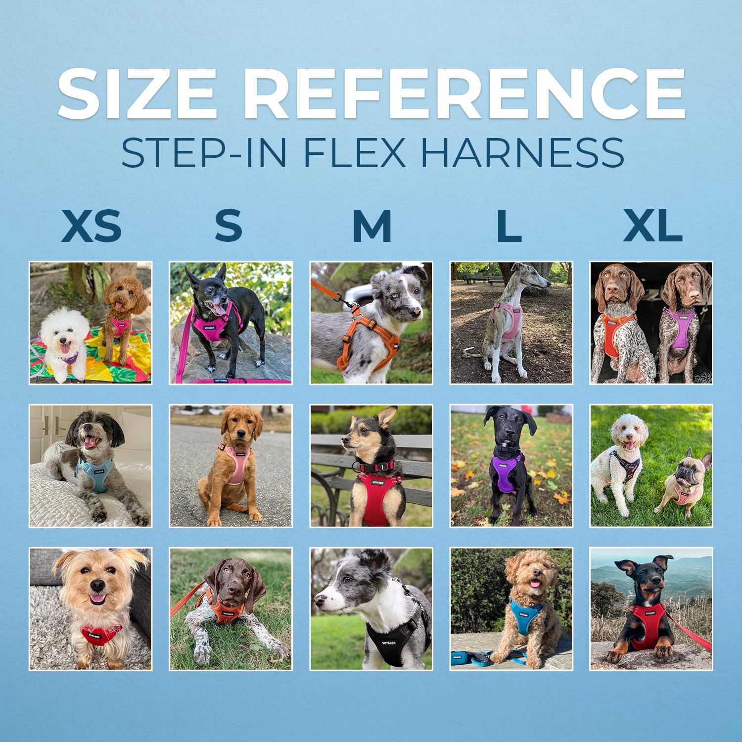 Best Pet Supplies Voyager Step-In Dog Harness - Breathable Mesh, No-Pull, Reflective, XS, Pink