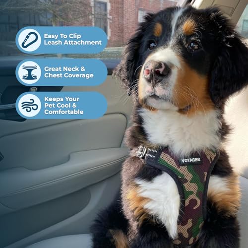 Best Pet Supplies Voyager Step-in Dog Harness - Size M Army/Black Trim - Breathable Mesh