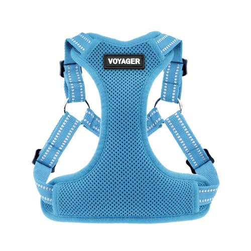 vimg::10