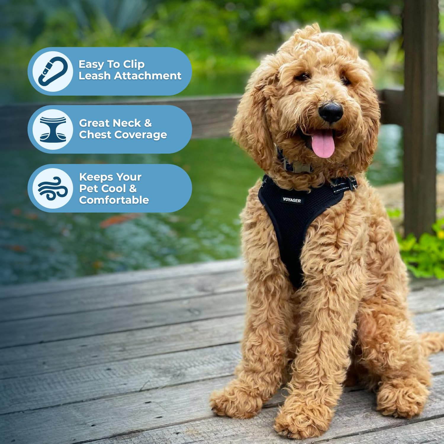 Best Pet Supplies Voyager Step-in Dog Harness – No-Pull, Breathable Mesh, Reflective, XS Black
