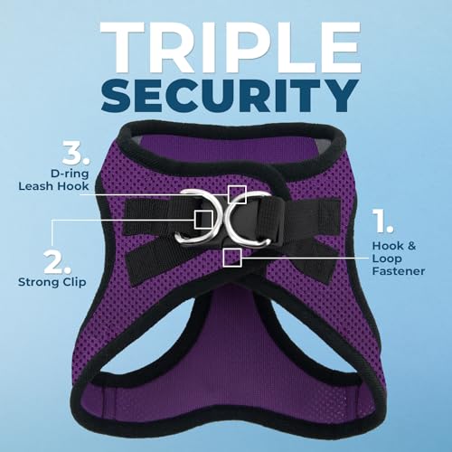 Best Pet Supplies Voyager Step-In Dog Harness & Reflective Leash Combo, Medium, Purple/Black Trim