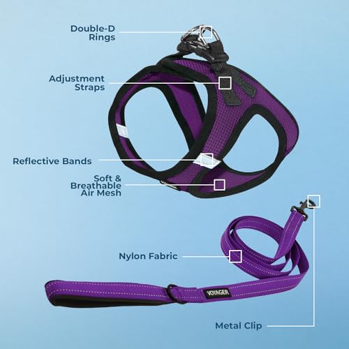 Best Pet Supplies Voyager Step-In Dog Harness & Reflective Leash Combo, Medium, Purple/Black Trim