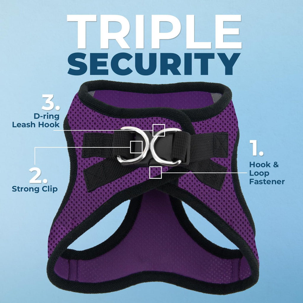Best Pet Supplies Voyager Step-In Dog Harness & Reflective Leash Combo, Medium, Purple/Black Trim