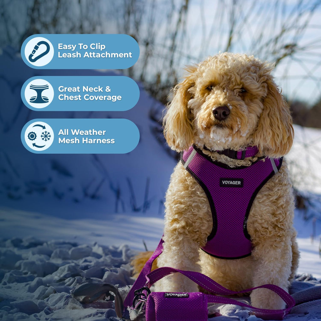 Best Pet Supplies Voyager Step-In Dog Harness & Reflective Leash Combo, Medium, Purple/Black Trim