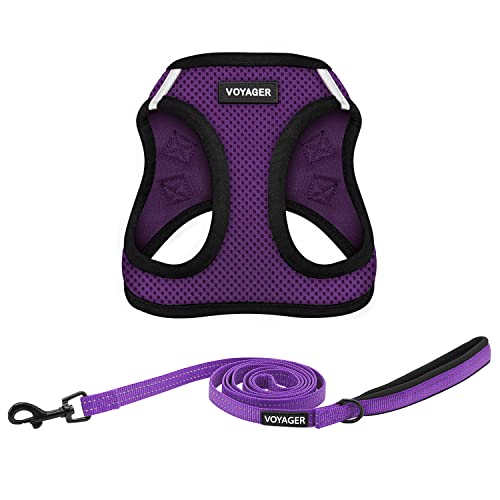 Best Pet Supplies Voyager Step-In Dog Harness & Reflective Leash Combo, Medium, Purple/Black Trim