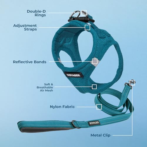 Best Pet Supplies Voyager Step-In Harness & Leash Combo - Turquoise, XXX-Small (Fits Chest 11-12")