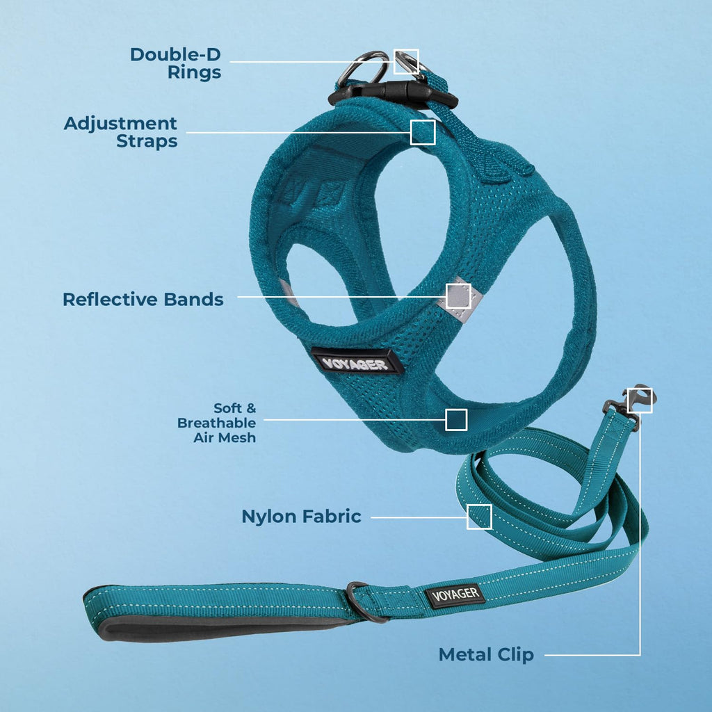 Best Pet Supplies Voyager Step-In Harness & Leash Combo - Turquoise, XXX-Small (Fits Chest 11-12")