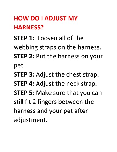 Best Pet Supplies Voyager Step-in Harness & Leash Combo – Pink, Large for Dogs