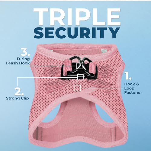 Best Pet Supplies Voyager Step-in Harness & Leash Combo – Pink, Large for Dogs