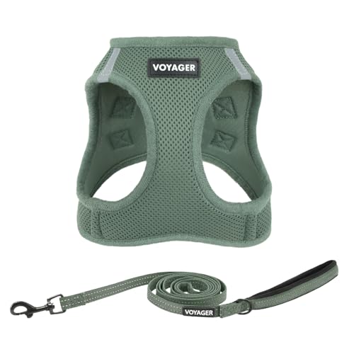 vimg::20
