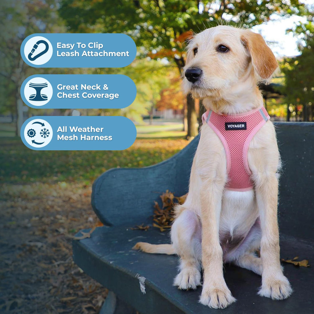 Best Pet Supplies Voyager Step-in Harness & Leash Combo – Pink, Large for Dogs