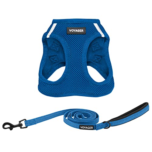 Best Pet Supplies Voyager Step-in Harness & Leash Set - Reflective Mesh, Royal Blue, XXXS for Puppies