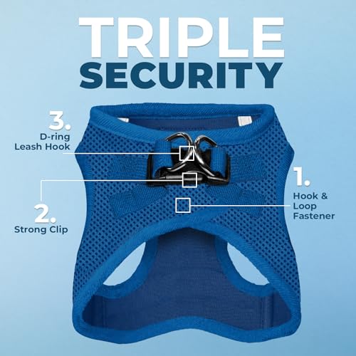 Best Pet Supplies Voyager Step-in Harness & Leash Set - Reflective Mesh, Royal Blue, XXXS for Puppies