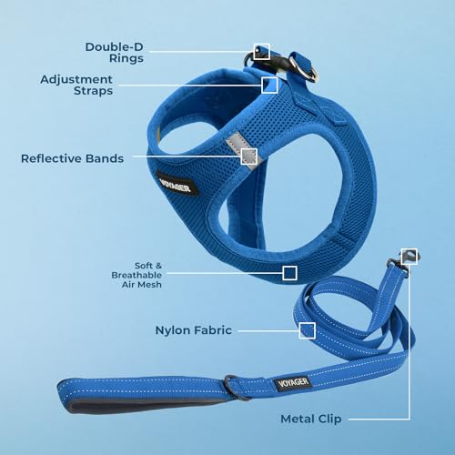 Best Pet Supplies Voyager Step-in Harness & Leash Set - Reflective Mesh, Royal Blue, XXXS for Puppies