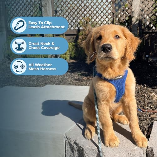 Best Pet Supplies Voyager Step-in Harness & Leash Set - Reflective Mesh, Royal Blue, XXXS for Puppies