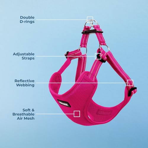 Best Pet Supplies Voyager Step-in Mesh Dog Harness, Fuchsia, XS