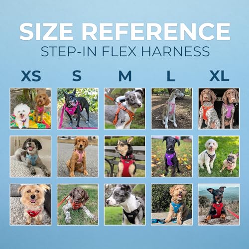Best Pet Supplies Voyager Step-in Mesh Dog Harness, Fuchsia, XS