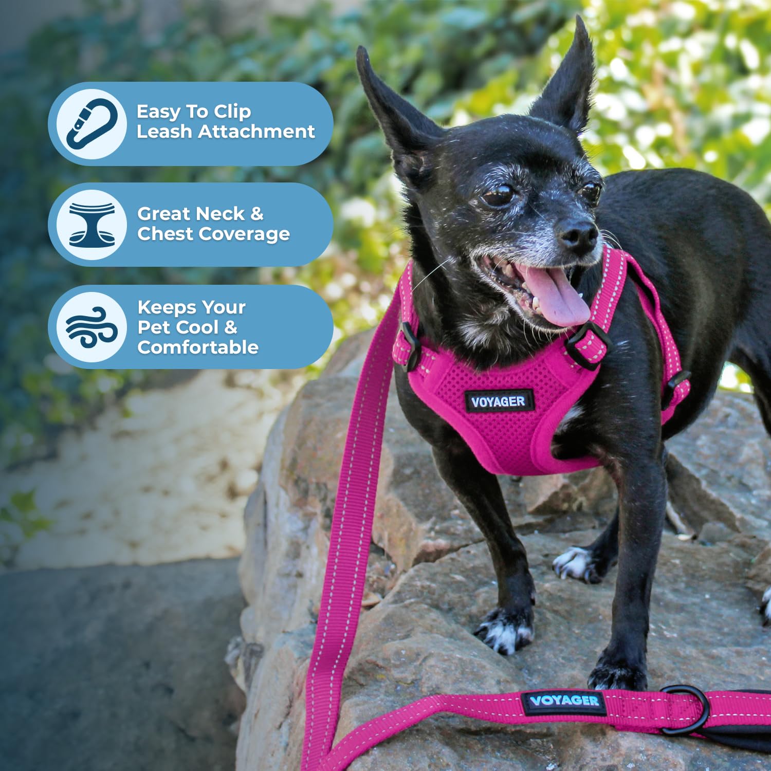Best Pet Supplies Voyager Step-in Mesh Dog Harness, Fuchsia, XS