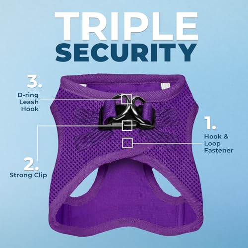 Best Pet Supplies Voyager Step-in Mesh Harness & Reflective Leash Set for Dogs, X-Large, Purple