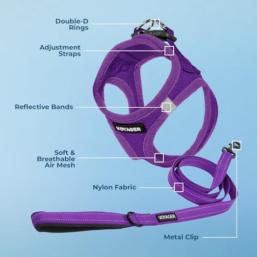 Best Pet Supplies Voyager Step-in Mesh Harness & Reflective Leash Set for Dogs, X-Large, Purple