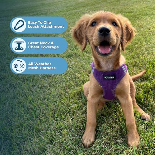 Best Pet Supplies Voyager Step-in Mesh Harness & Reflective Leash Set for Dogs, X-Large, Purple