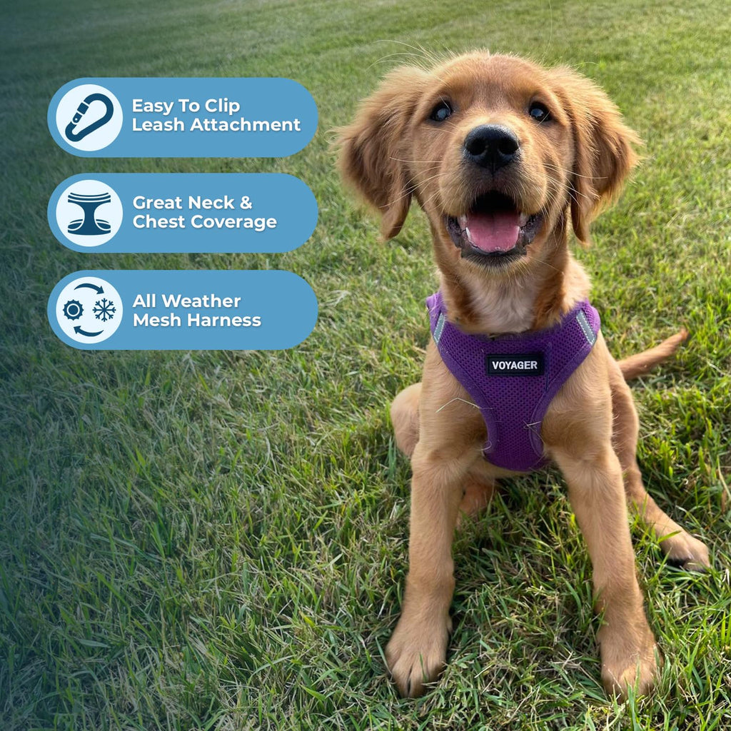 Best Pet Supplies Voyager Step-in Mesh Harness & Reflective Leash Set for Dogs, X-Large, Purple