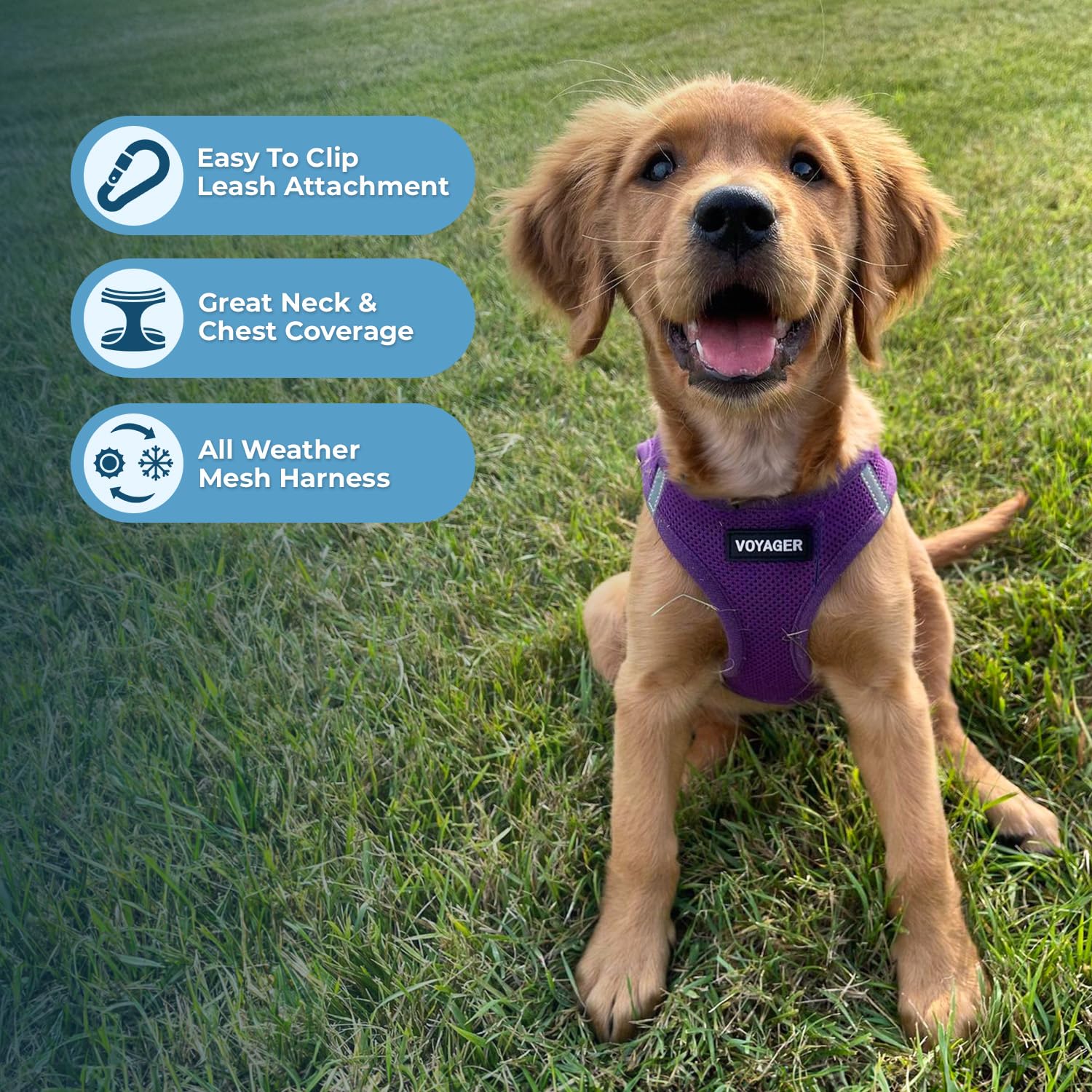 Best Pet Supplies Voyager Step-in Mesh Harness & Reflective Leash Set for Dogs, X-Large, Purple