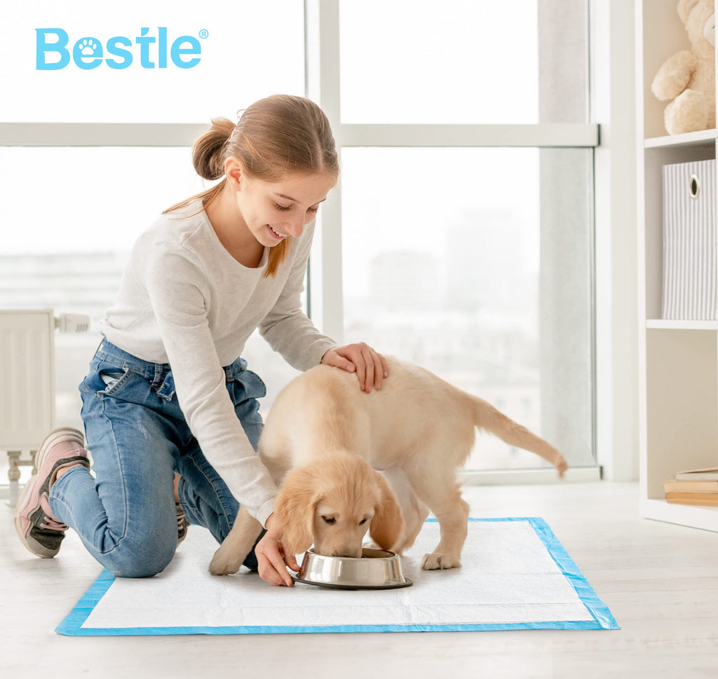 BESTLE 22x22 Dog Training Pads (50 Count) - Super Absorbent Leak-Proof Puppy Pee Pads