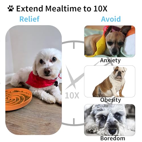 Bifeaw Slow Feeder Dog Bowl - Silicone Puzzle Bowl for Dogs, Non-Slip, Dishwasher Safe, Green and Orange