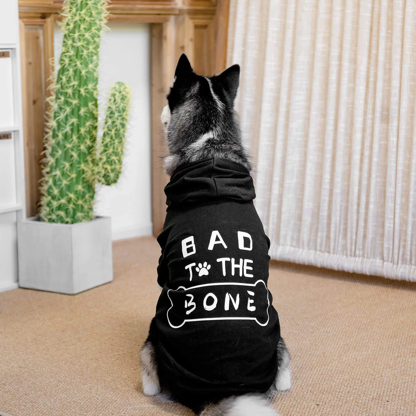 BINGPET Dog Hoodie 'Bad The Bone' - Black, Extra Large, Warm Winter Coat for Dogs