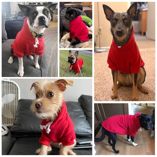 BINGPET Dog Hoodie: Fleece Lined Pullover Sweatshirt with Leash Hole for Small Medium Large Dogs