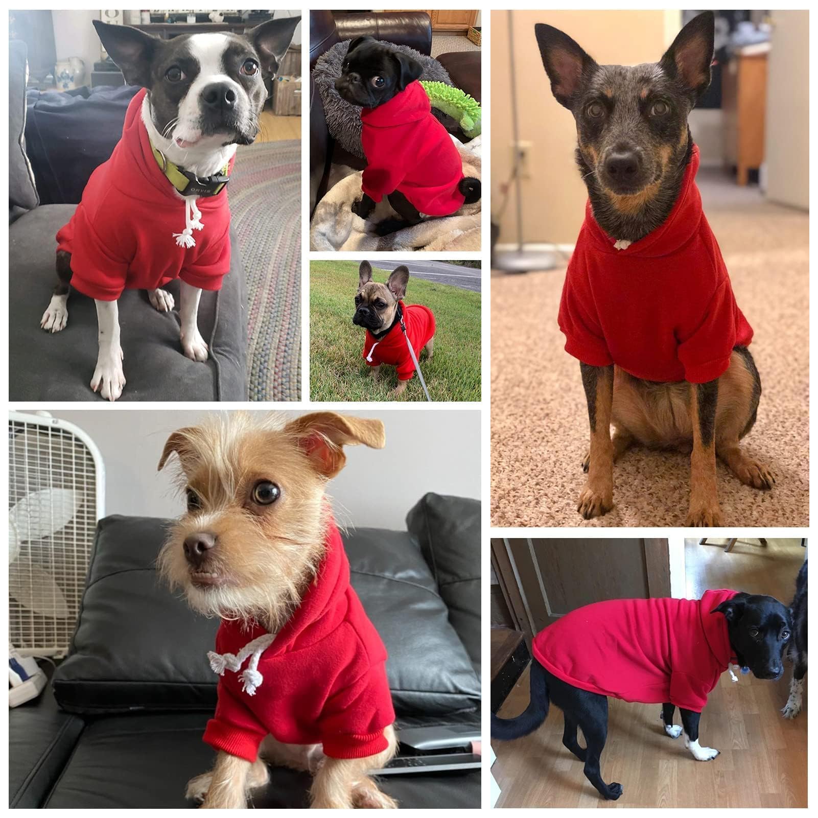 BINGPET Dog Hoodie: Fleece Lined Pullover Sweatshirt with Leash Hole for Small Medium Large Dogs