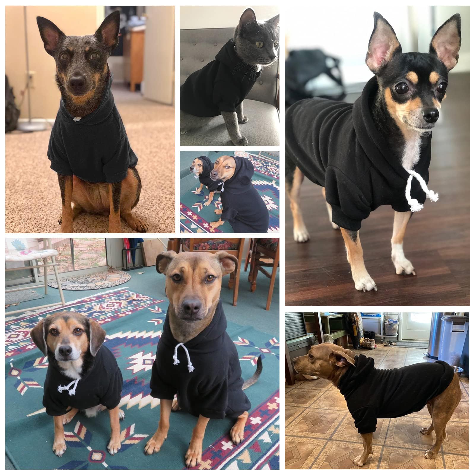 BINGPET Dog Hoodies - Fleece Lined Pullover Sweatshirt for Small to Large Dogs, Machine Washable with Leash Hole