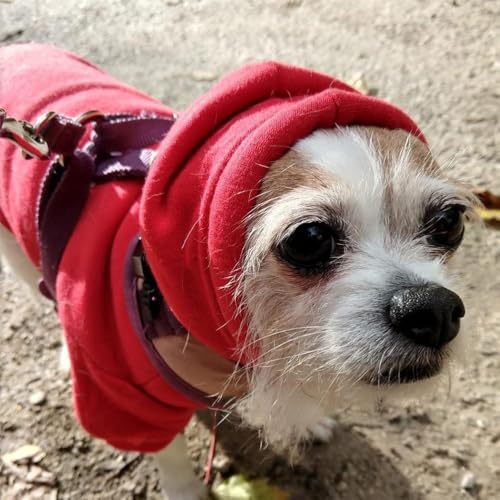 BINGPET Security Dog Hoodie - XX-Large Fleece Hooded Sweatshirt for Dogs and Cats