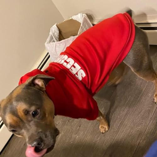 BINGPET Security Dog Hoodie - XX-Large Fleece Hooded Sweatshirt for Dogs and Cats