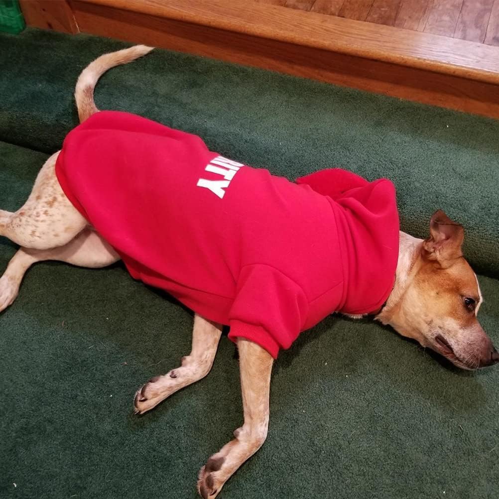 BINGPET Security Dog Hoodie - XX-Large Fleece Hooded Sweatshirt for Dogs and Cats