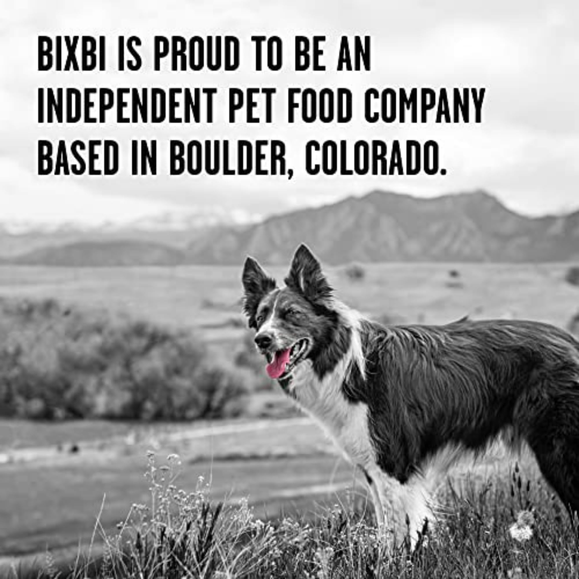 BIXBI Liberty Freeze-Dried Chicken Dog Food Topper & Treats, 98% Meat Organs, 12 oz – USA Made