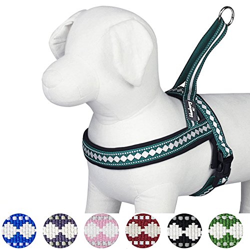Blueberry Pet Reflective Jacquard Padded Dog Harness – Teal Blue, S/M (Chest 21.5-27.5")
