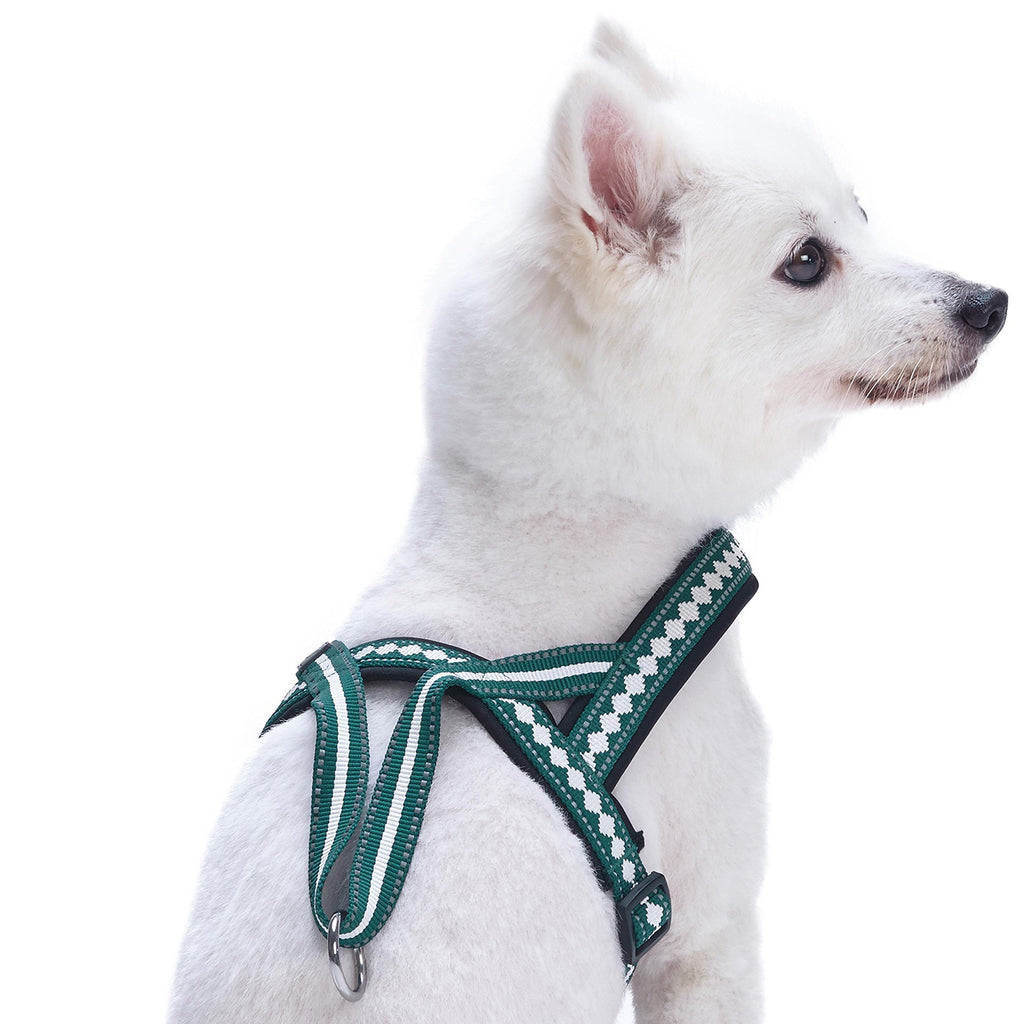 Blueberry Pet Reflective Jacquard Padded Dog Harness – Teal Blue, S/M (Chest 21.5-27.5")