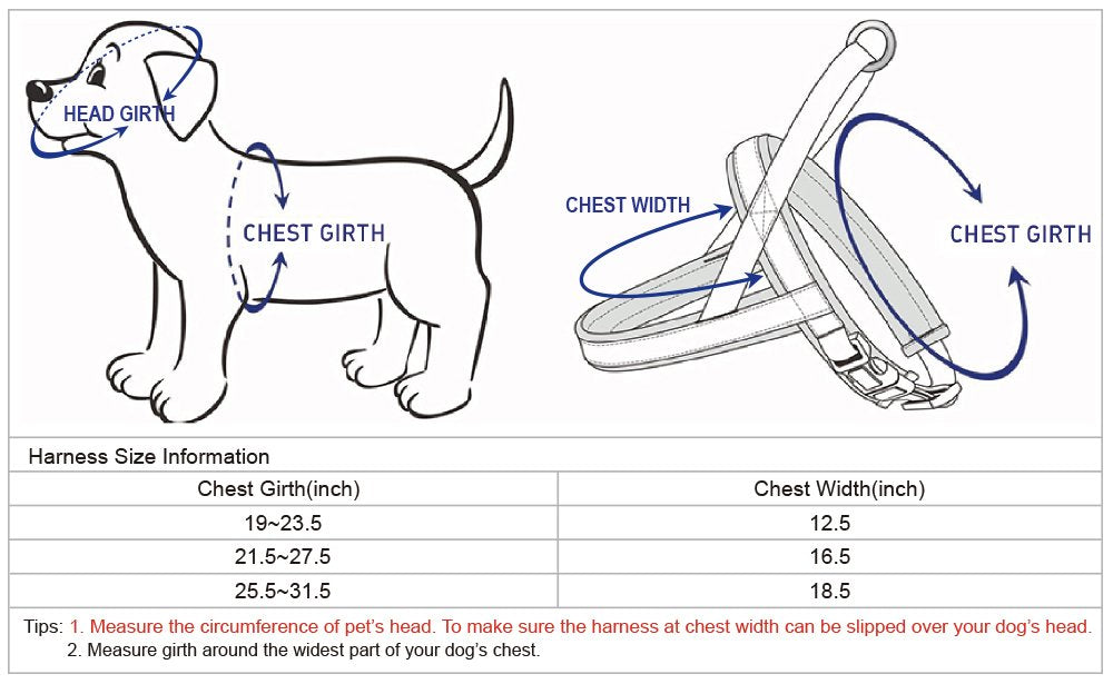 Blueberry Pet Reflective Jacquard Padded Dog Harness – Teal Blue, S/M (Chest 21.5-27.5")