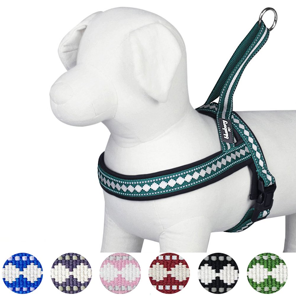 Blueberry Pet Reflective Jacquard Padded Dog Harness – Teal Blue, S/M (Chest 21.5-27.5")