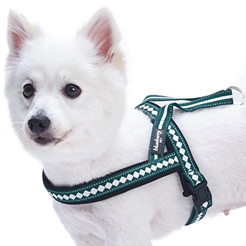 Blueberry Pet Reflective Jacquard Padded Dog Harness – Teal Blue, S/M (Chest 21.5-27.5")