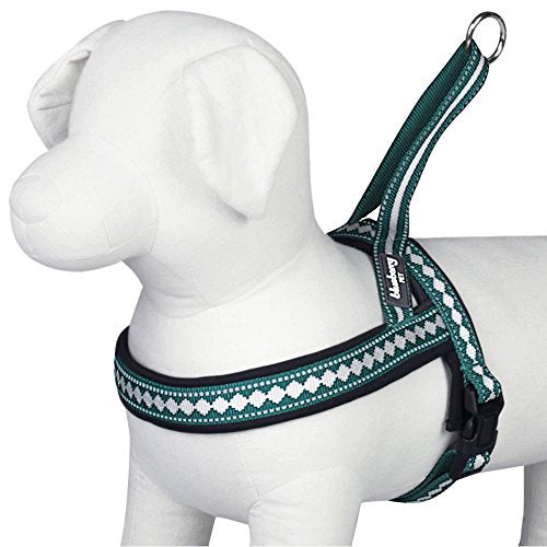 Blueberry Pet Reflective Jacquard Padded Dog Harness – Teal Blue, S/M (Chest 21.5-27.5")