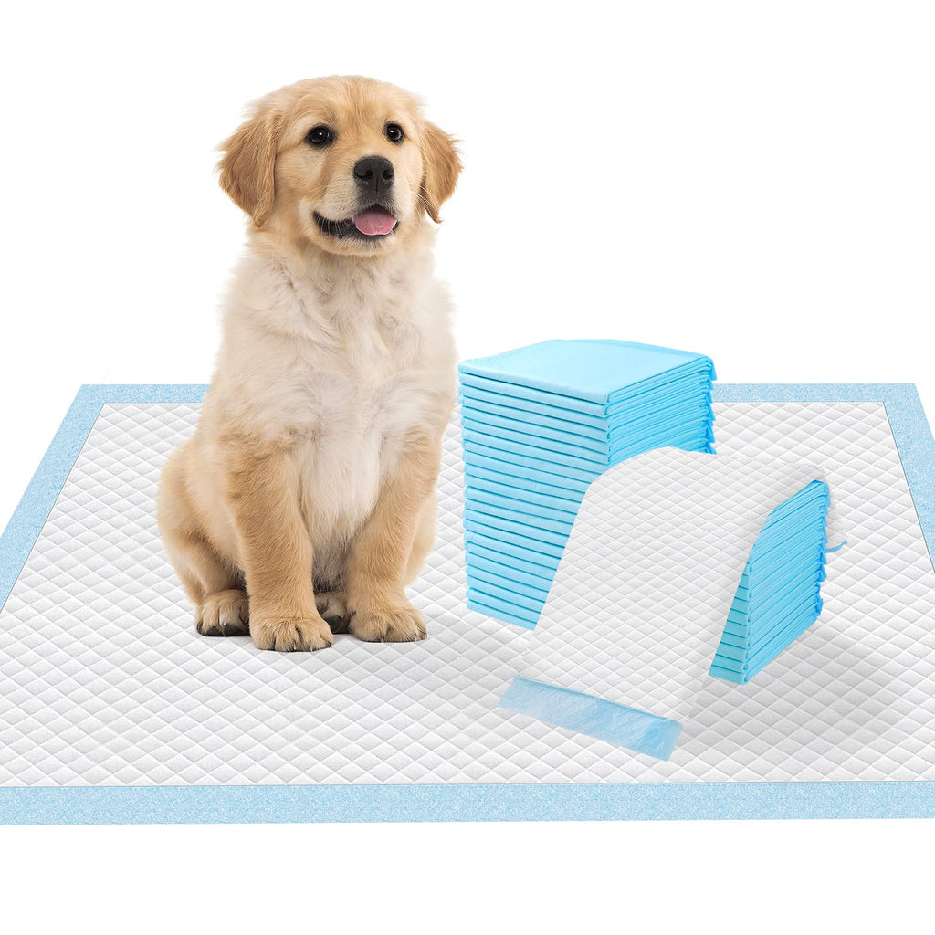 Bolux Disposable Dog Training Pads (20 Count) - Extra Large 23.5" x 35.5" with 5-Layer Polymer Core