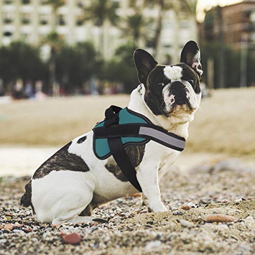 Bolux Medium Dog Harness - No-Pull Reflective Vest with Handle for Walking (Turquoise, M)