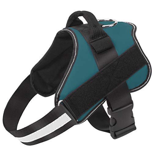 Bolux Medium Dog Harness - No-Pull Reflective Vest with Handle for Walking (Turquoise, M)